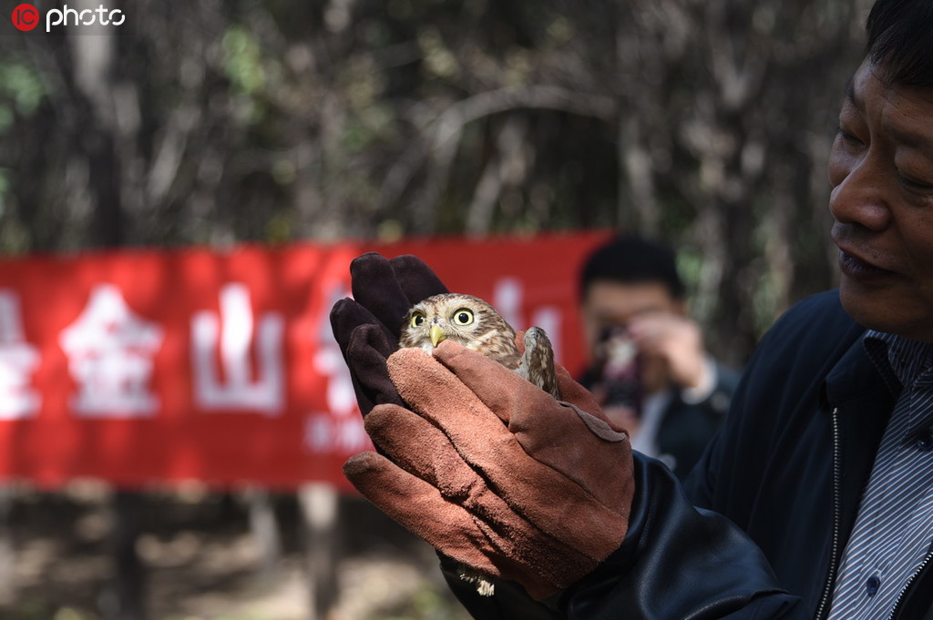 河南第25個“野生動物保護宣傳月”活動舉行 58隻(頭)被救護的小動物回歸大自然【3】