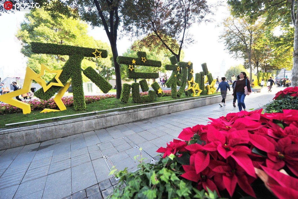 上海街頭花團錦簇迎進博會 1340萬盆鮮花點綴街頭【2】