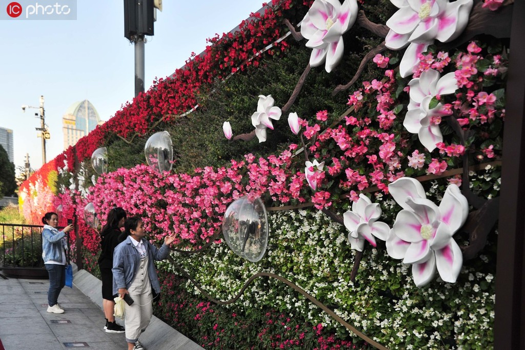 上海街頭花團錦簇迎進博會 1340萬盆鮮花點綴街頭【3】