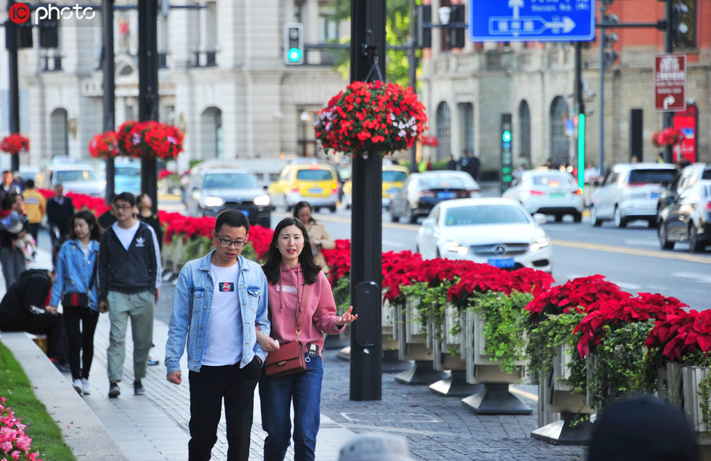 上海街頭花團錦簇迎進博會 1340萬盆鮮花點綴街頭【10】