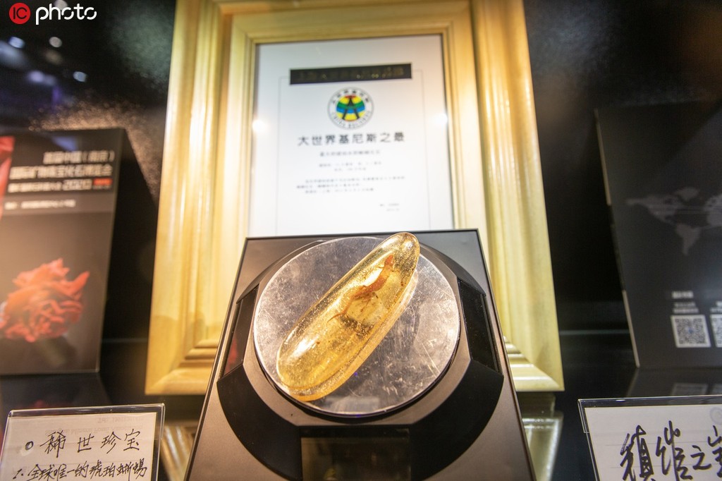 世界最大琥珀水膽蜥蜴化石亮相2019上海進博會【4】
