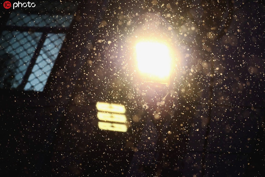 圖為哈爾濱主城區雪打夜幕下的路燈。吳胡荼/IC photo