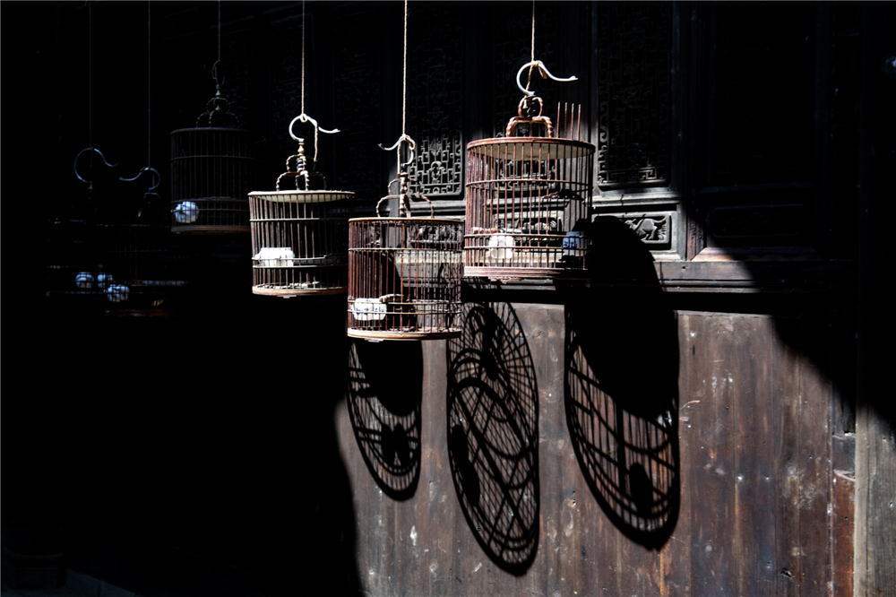 ����2���������¡�