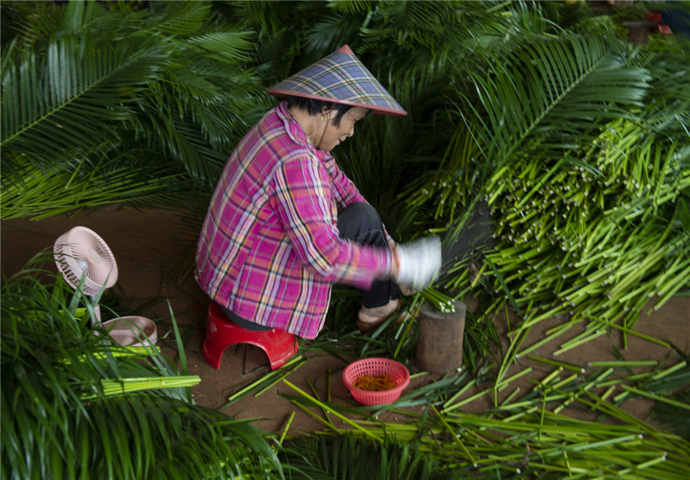 ����1����ɽ������־��������ɢβ����ҵ��