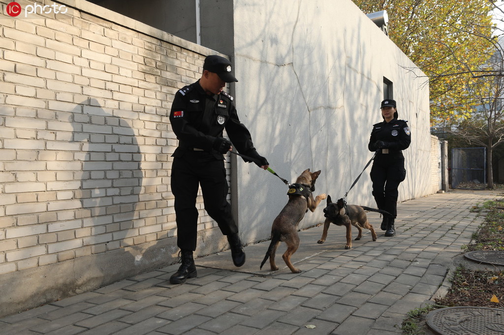 北京市公安局首批克隆犬正式入警【6】