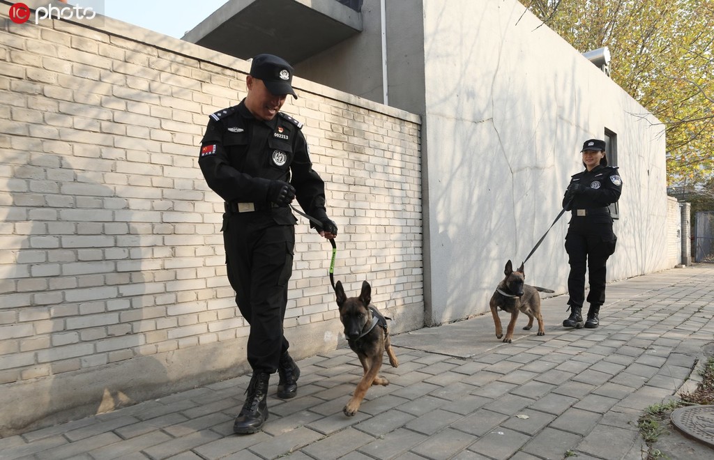 北京市公安局首批克隆犬正式入警【5】