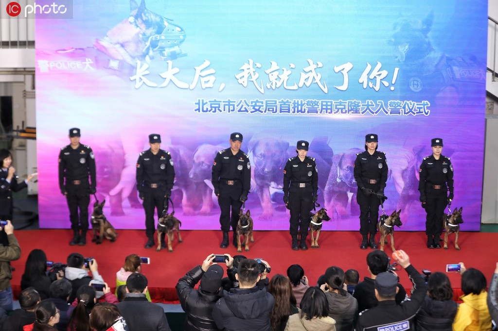 北京市公安局首批克隆犬正式入警