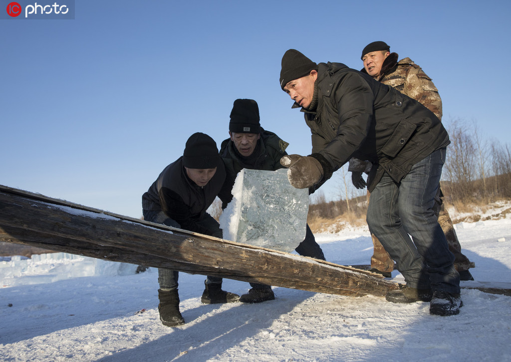 黑龍江漠河取冰現場 250人取出2500余塊冰 每塊重200斤【3】