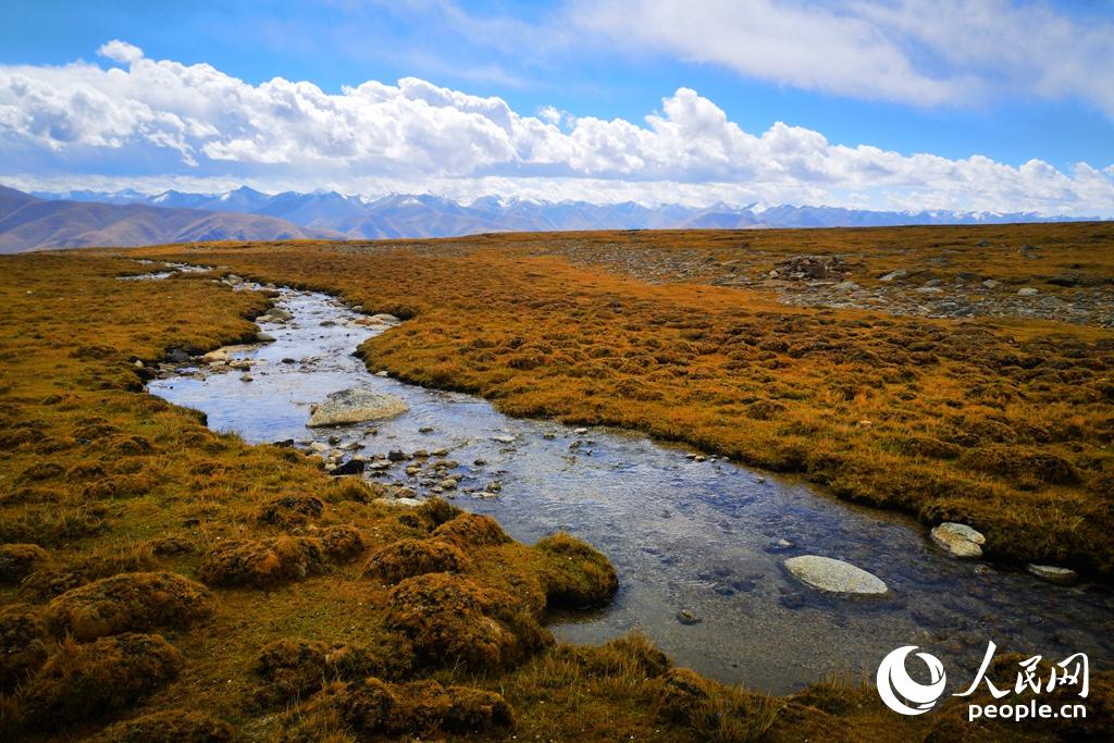 湖邊潺潺溪流清澈見底。這片湖水面積隻有9平方公裡，在西藏眾多湖泊中算是很袖珍了，5500米的海拔讓它的冰期維持很久，在這春天冰雪融化的季節，它依然有著寧靜而剔透的冰面。（人民網 馮粒 攝）