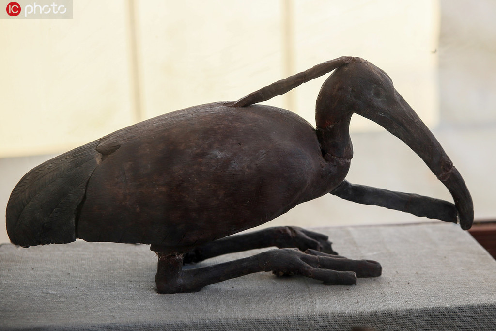 埃及塞加拉古墓群出土大批文物 發現世界最大聖甲虫【10】