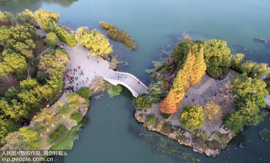 安徽巢湖：生態公園美如畫