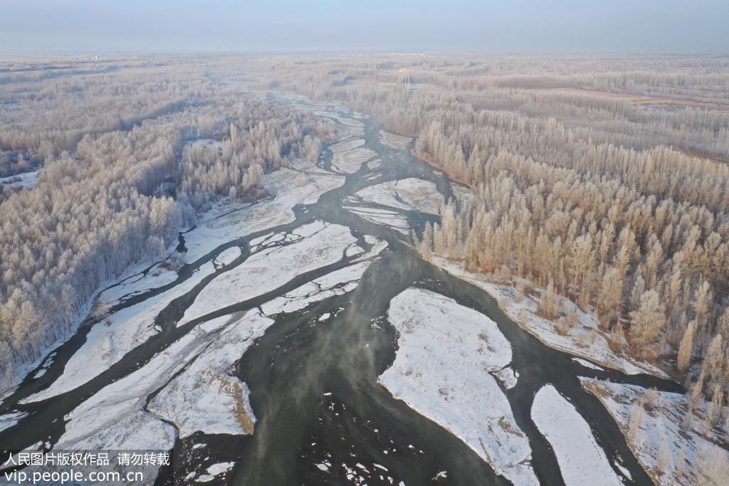 新疆博州：博爾塔拉河谷出現霧淞景觀【2】