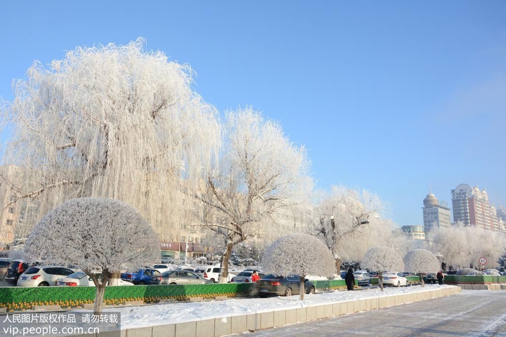 12月19日，吉林省吉林市城區鬆花江畔拍攝的霧凇景觀。