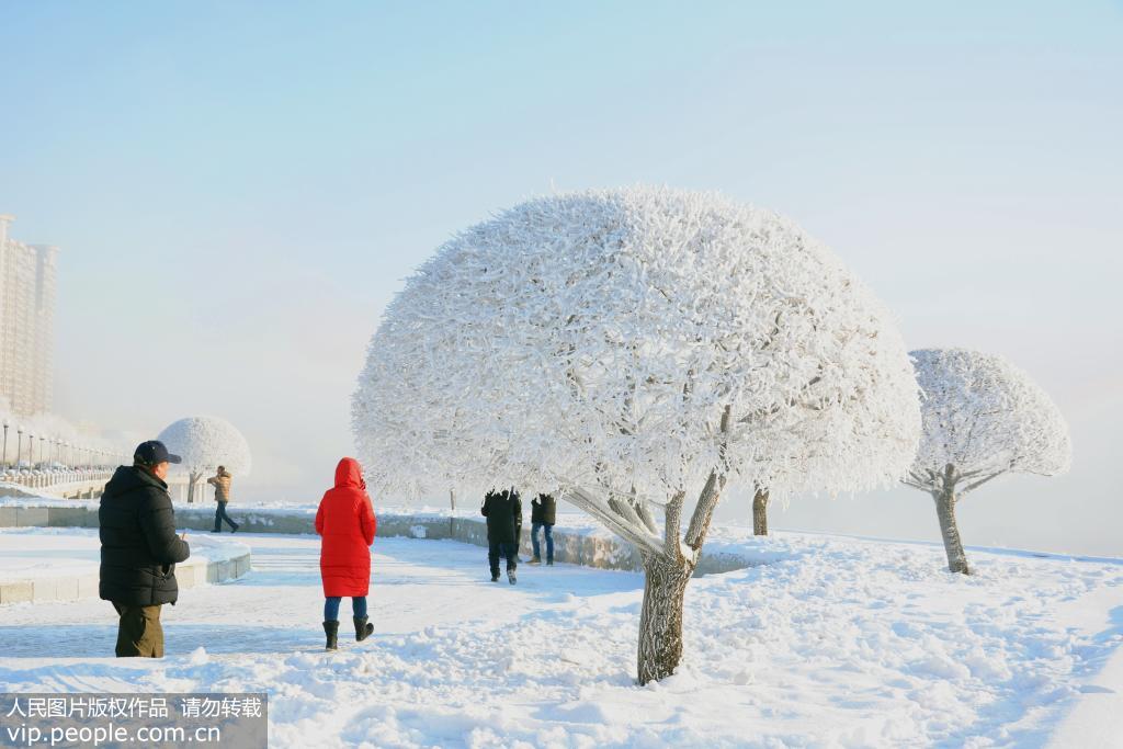 12月19日，吉林省吉林市城區鬆花江畔拍攝的霧凇景觀。