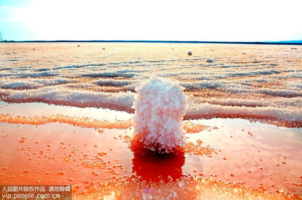 ɽ���˳ǣ��κ��������š���������3��