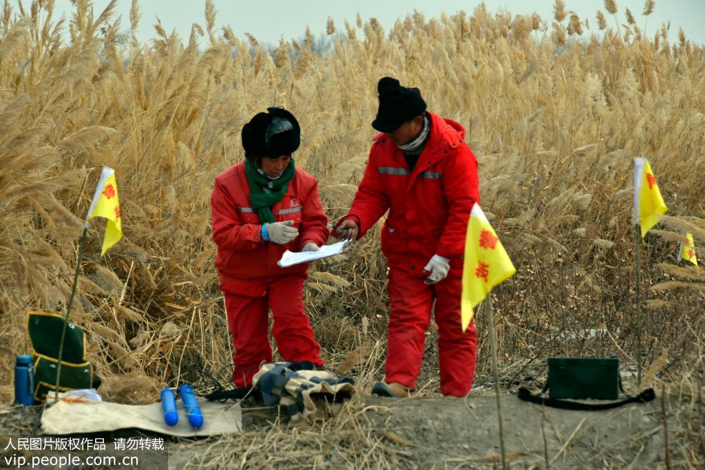 新疆塔裡木盆地：數九寒天地質勘探跨新年【4】