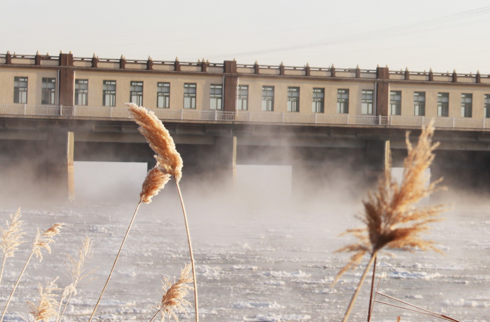 黃河三盛公水利樞紐庫區出現“水煮黃河”景觀（1月1日攝）。