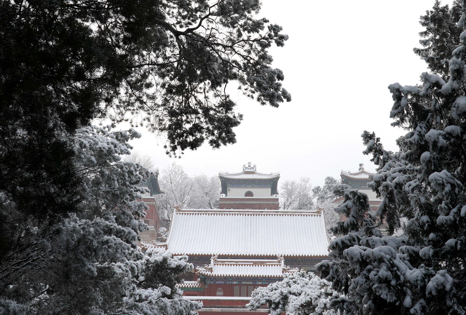 1月6日拍攝的頤和園雪景。