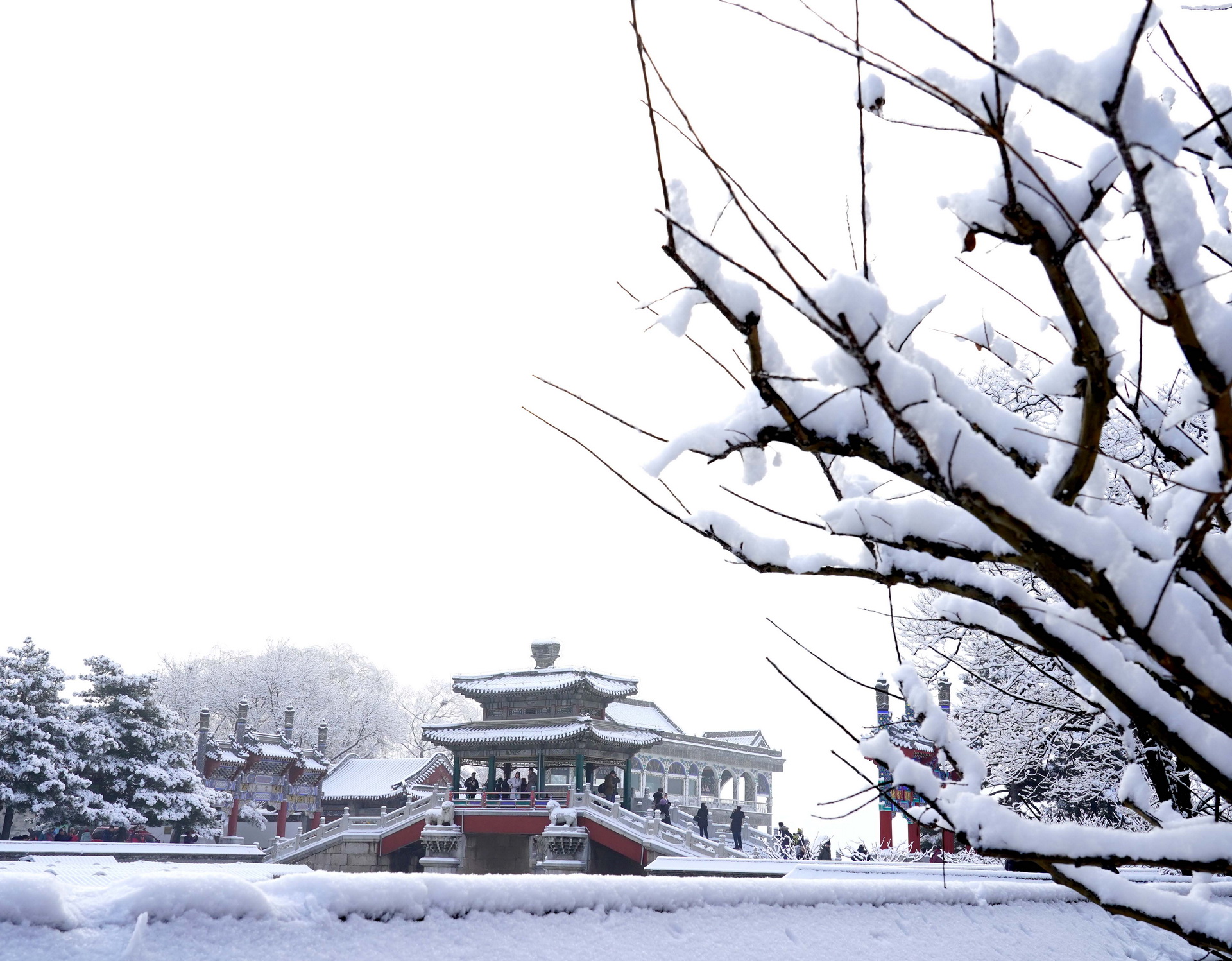 1月6日拍攝的頤和園雪景。