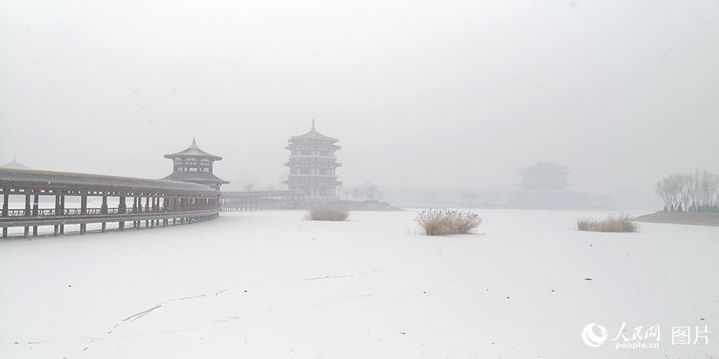 寧夏靈武迎來2020年第一場雪