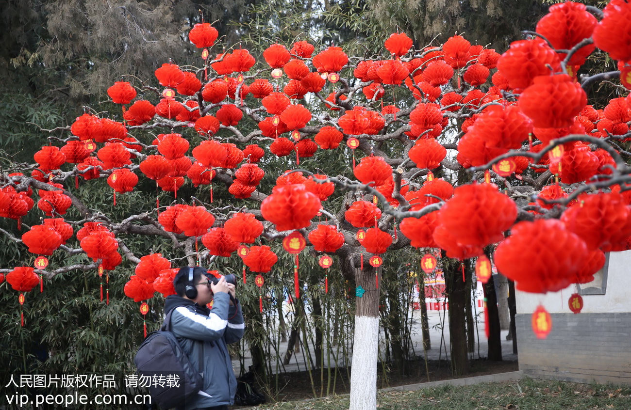 北京：地坛公园红红火火迎新年(3) 第3页