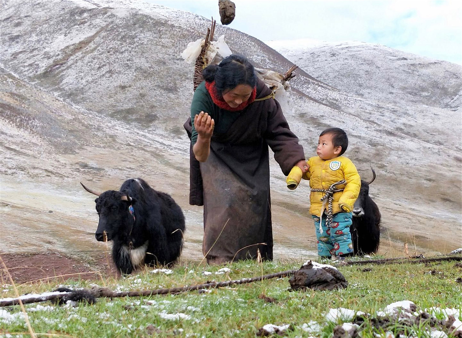 西然文加(高中組)青海《牧區一角》 牧區的牛糞是藏民生活中不可缺少的燃料，取暖做飯都離不開它，藏民們滿山遍野撿拾牛糞是牧民生活中的一項重要工作。搜索復制