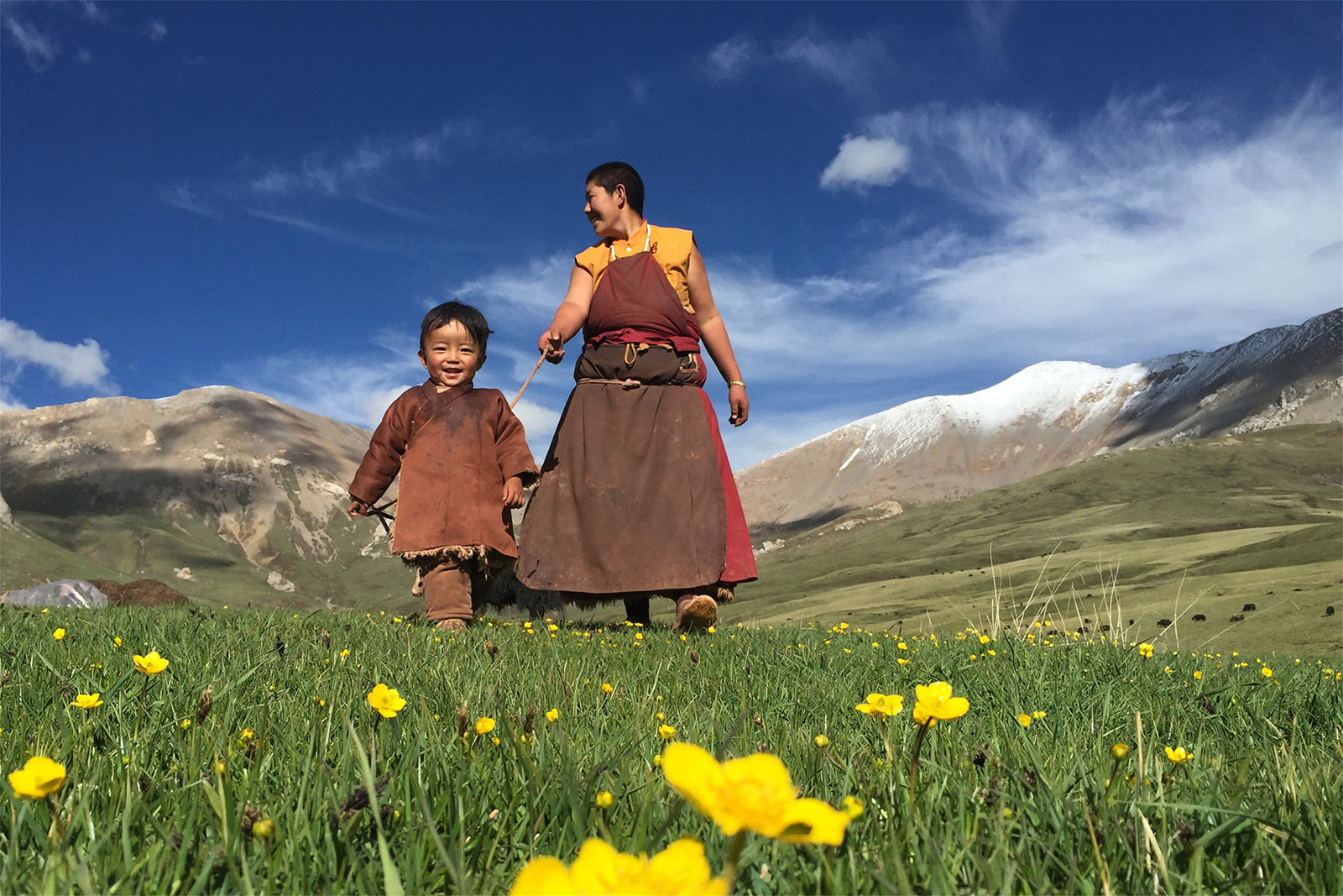 白瑪南加(高中組)青海《路上》 藏族媽媽領著自己的娃娃，漫步在山花爛漫的青海玉樹大草原上，享受著藍天白雲下的新鮮空氣，欣賞著草原美景。搜索復制