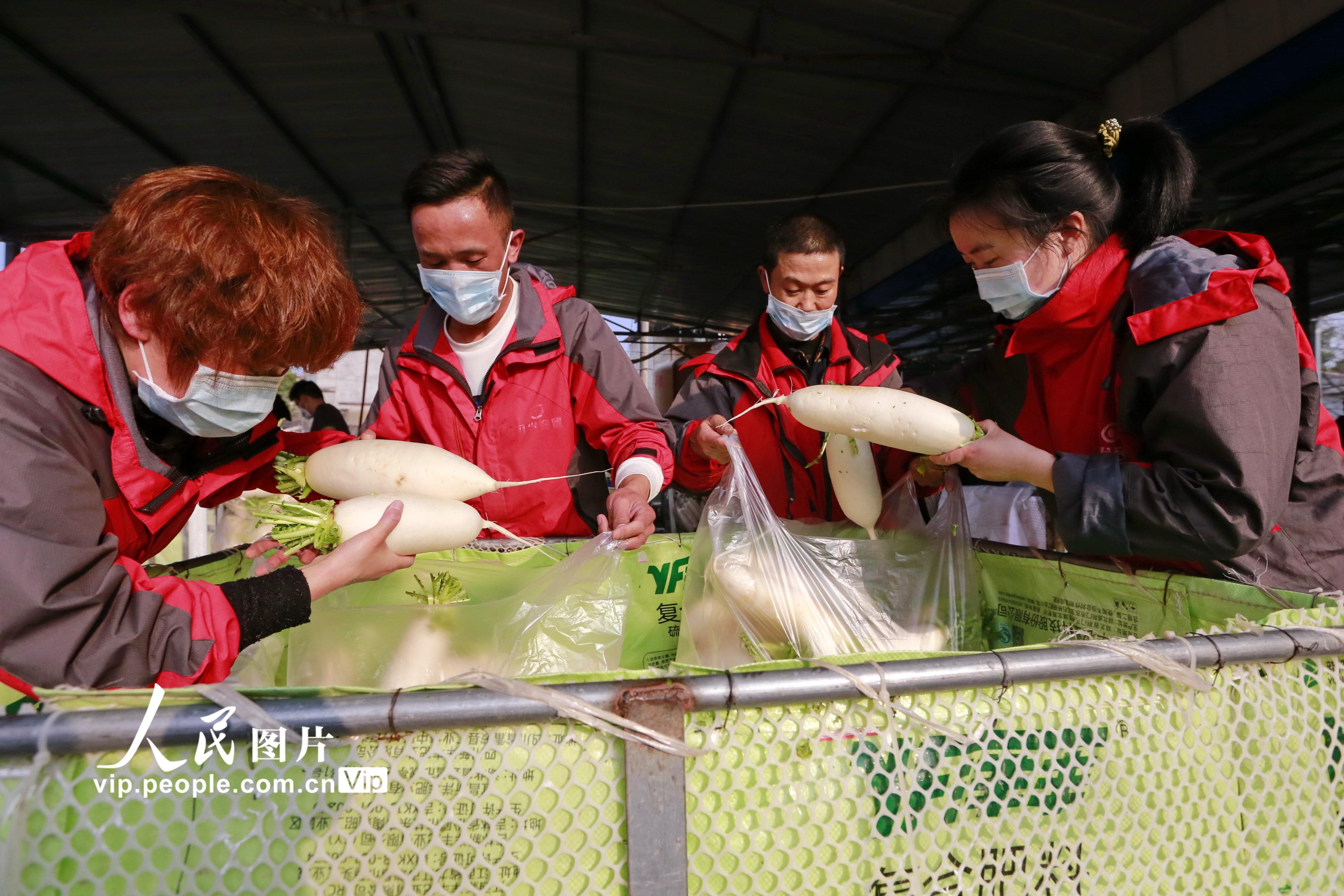 �Ĵ��������ٶ֡������ʡ�����ũ��Ʒ֧Ԯ������9��