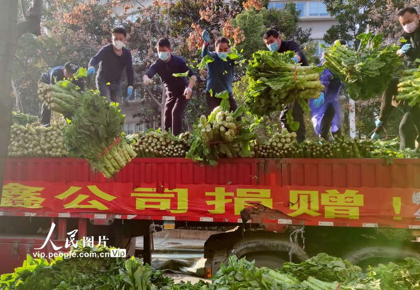 四川省百余噸愛心蔬菜水果到武漢 志願者突擊搶運到社區