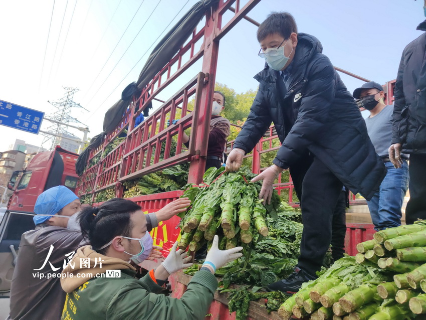 四川省百余噸愛心蔬菜水果到武漢 志願者突擊搶運到社區【8】