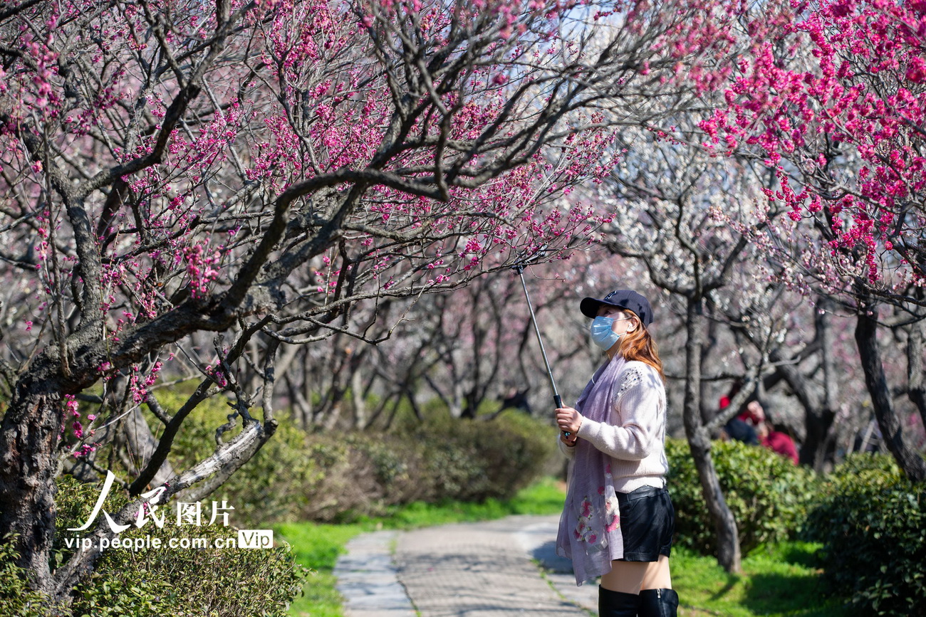 南京鐘山風景名勝區有序有限開放【2】