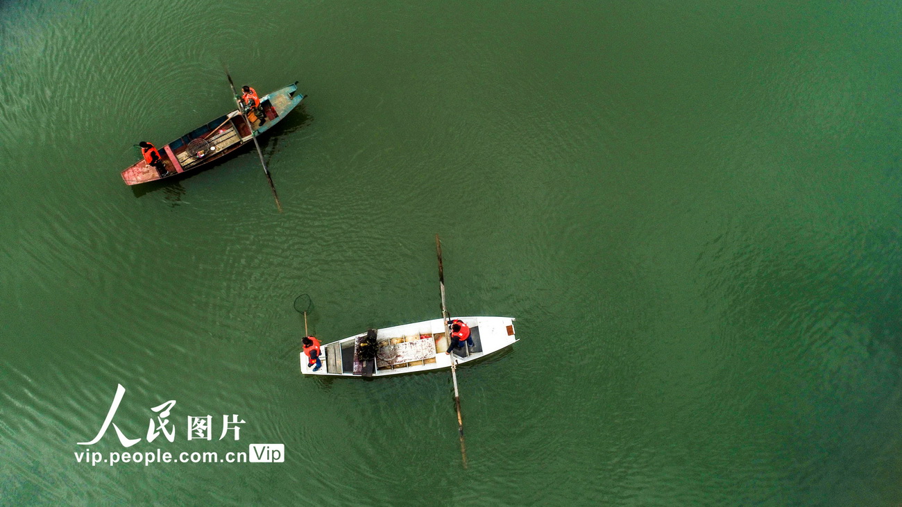 2020年2月25日，江西省吉安市峽江縣巴邱鎮河道保潔員在玉峽湖庫區清理河面上的漂浮物。