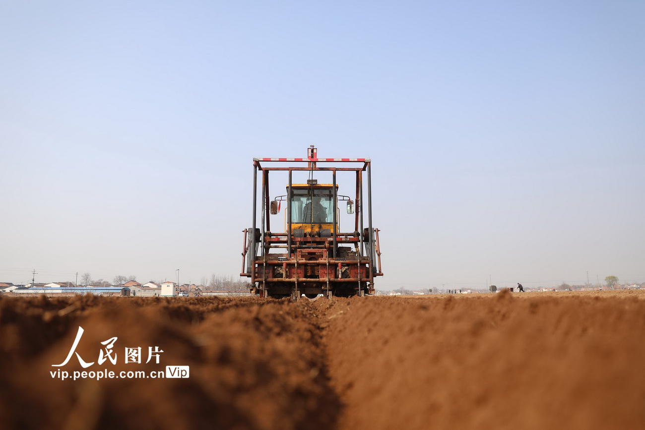 3月5日，河南省焦作市溫縣武德鎮馬馮藺村農民在田間駕駛農機耕地准備種植山藥。