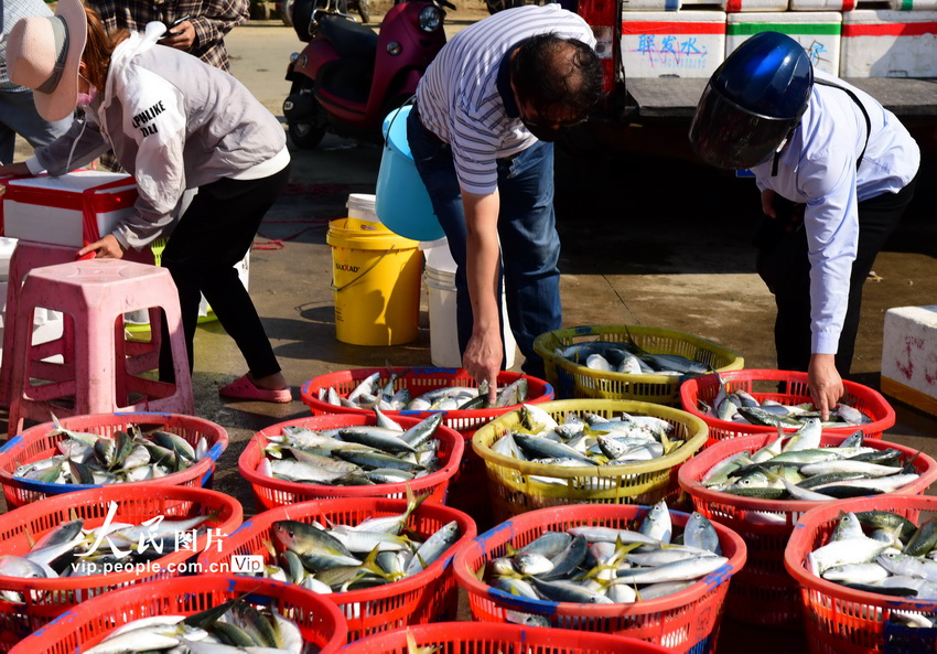 ����������������ٸ���������2��