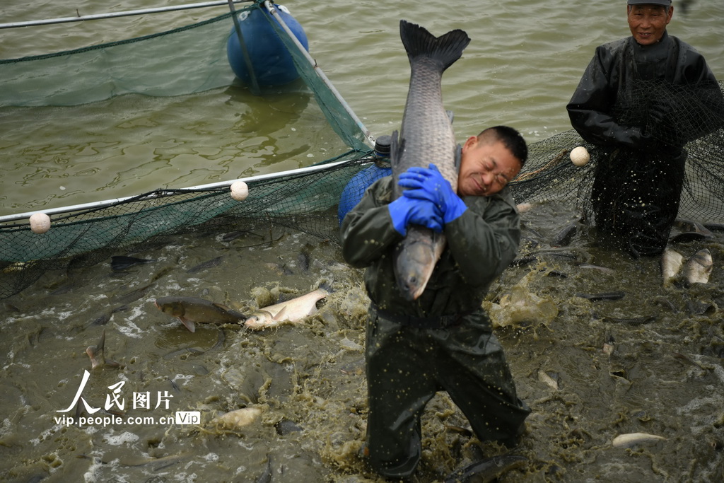 江蘇淮安：魚躍人歡銷售忙【2】