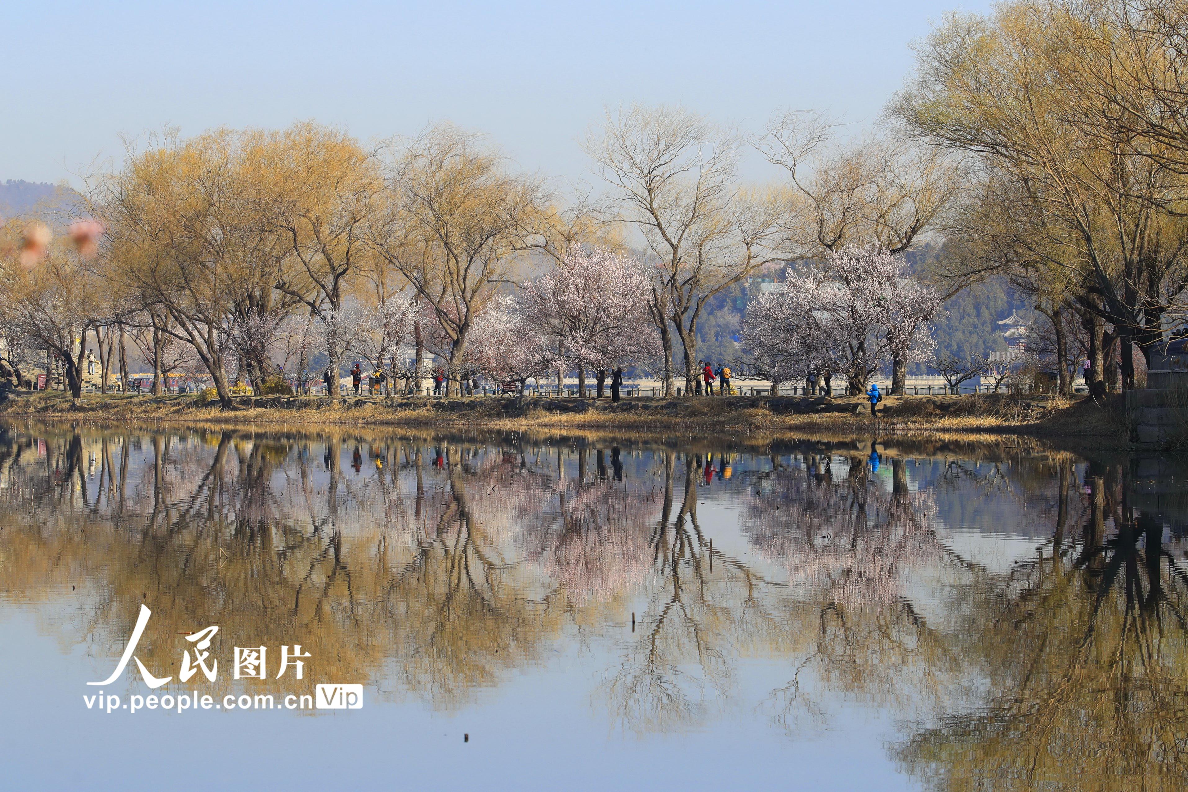 北京頤和園：桃花碧水染西堤【6】