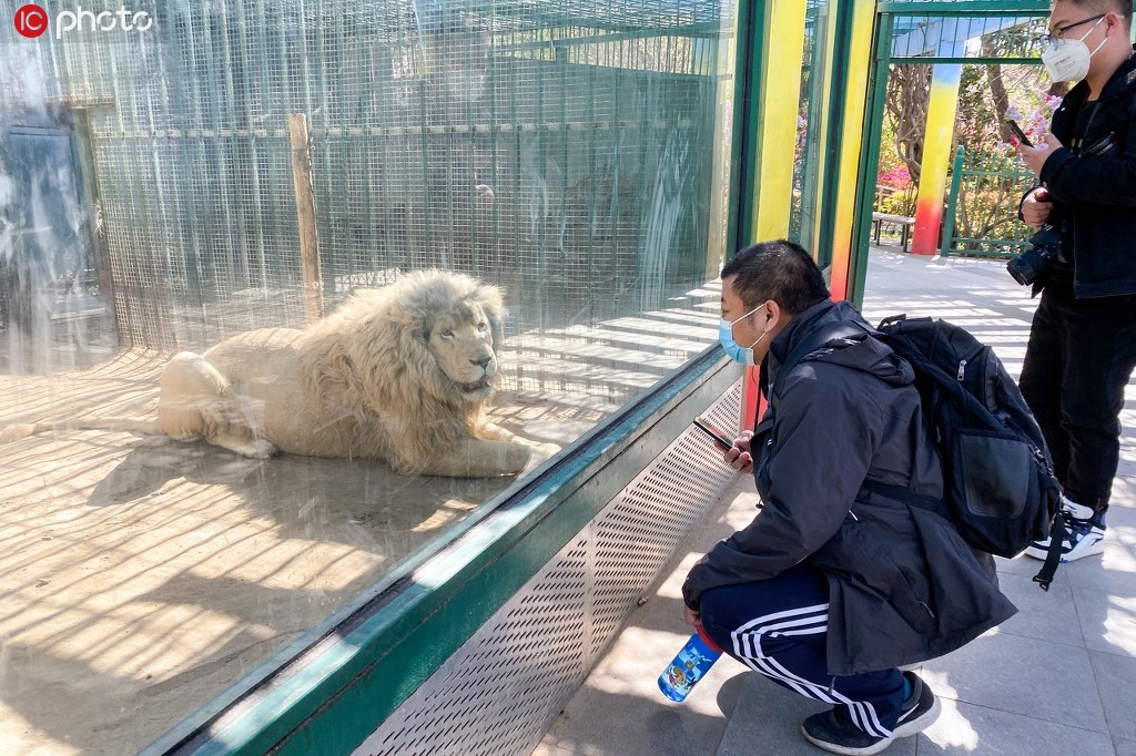鄭州動物園恢復開園 首日迎來不少游客