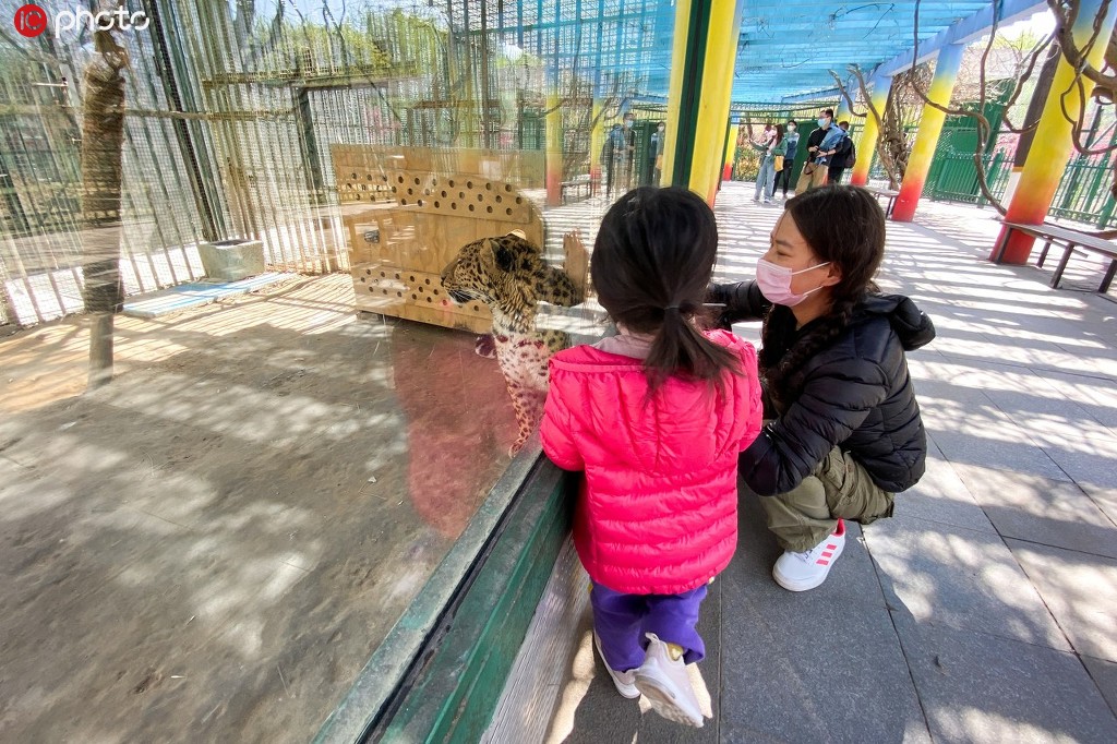 鄭州動物園恢復開園 首日迎來不少游客【2】