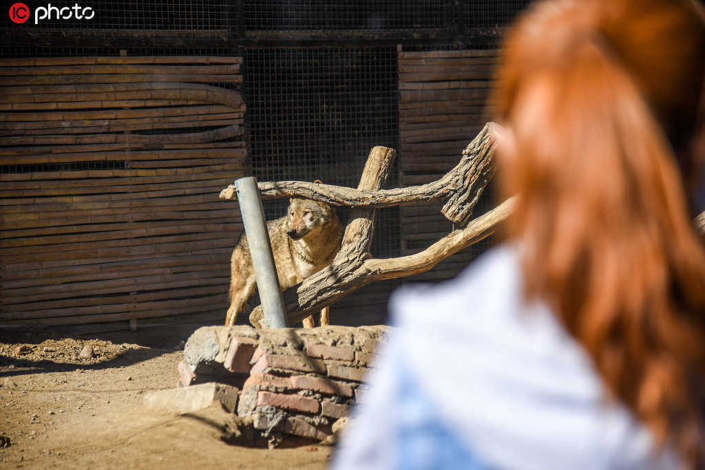 ���ڿ��ˣ���������԰ʱ��58��ָ���԰��3��