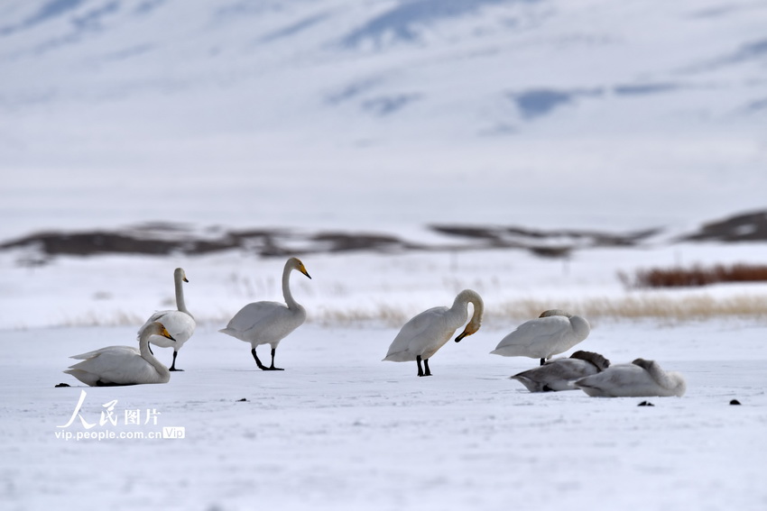 �½��;���������½��롰�����ڡ���9��