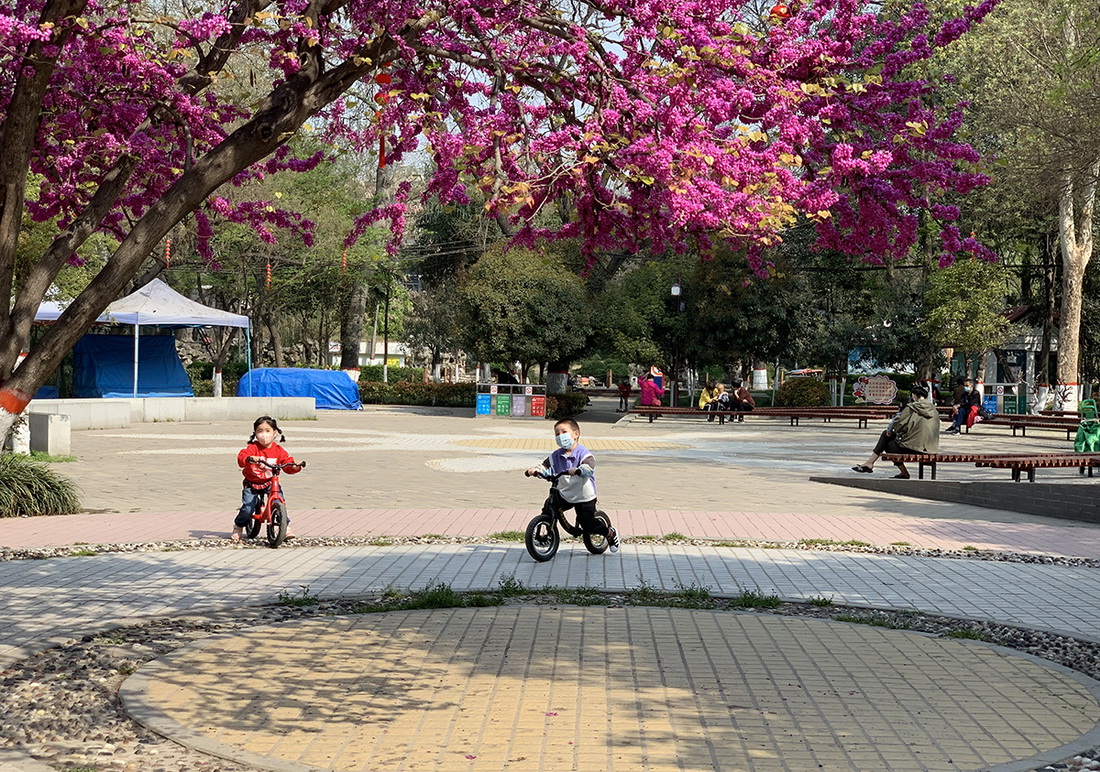 21.3月24日，孩子們在西安市兒童公園玩耍。山新莉 攝