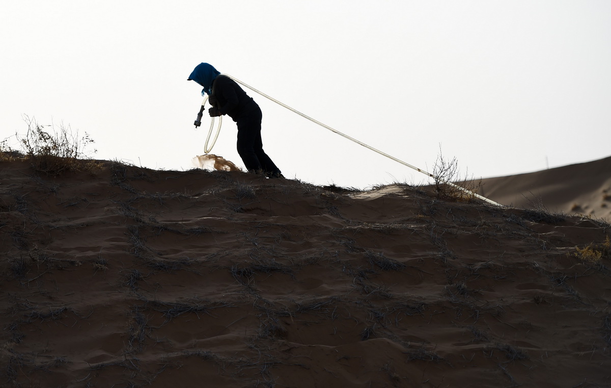 4月2日，在阿拉善左旗騰格裡沙漠，工人給剛種下的花棒澆水。