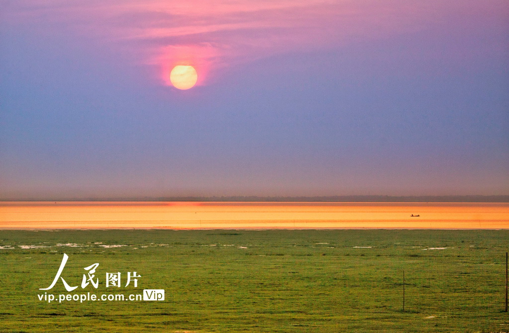 江西鄱陽湖：大美濕地 春光旖旎【6】