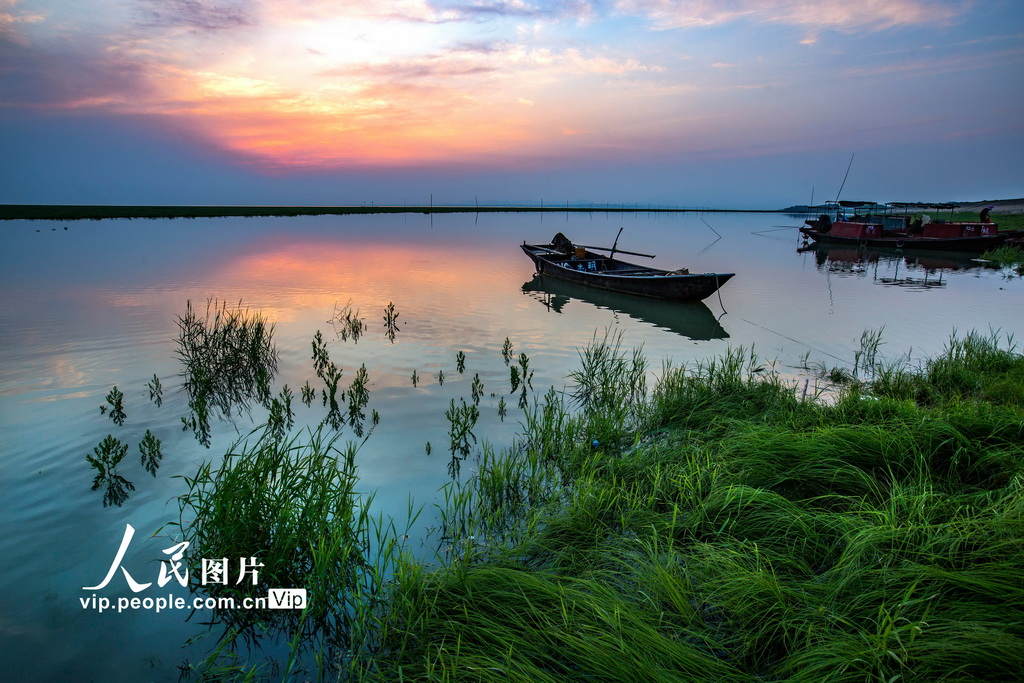 江西鄱陽湖：大美濕地 春光旖旎