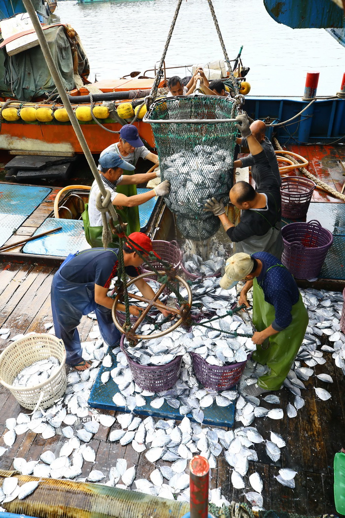 2020年4月7日，人們在三亞市崖州中心漁港水產批發區交易魚貨。