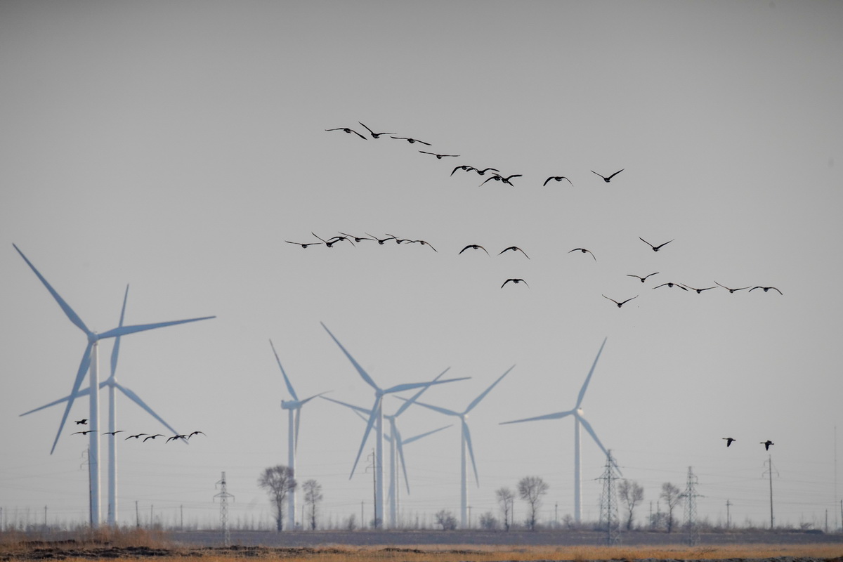 4月9日，在位於吉林省白城市鎮賚縣的莫莫格國家級自然保護區，大批候鳥從濕地上空飛過。