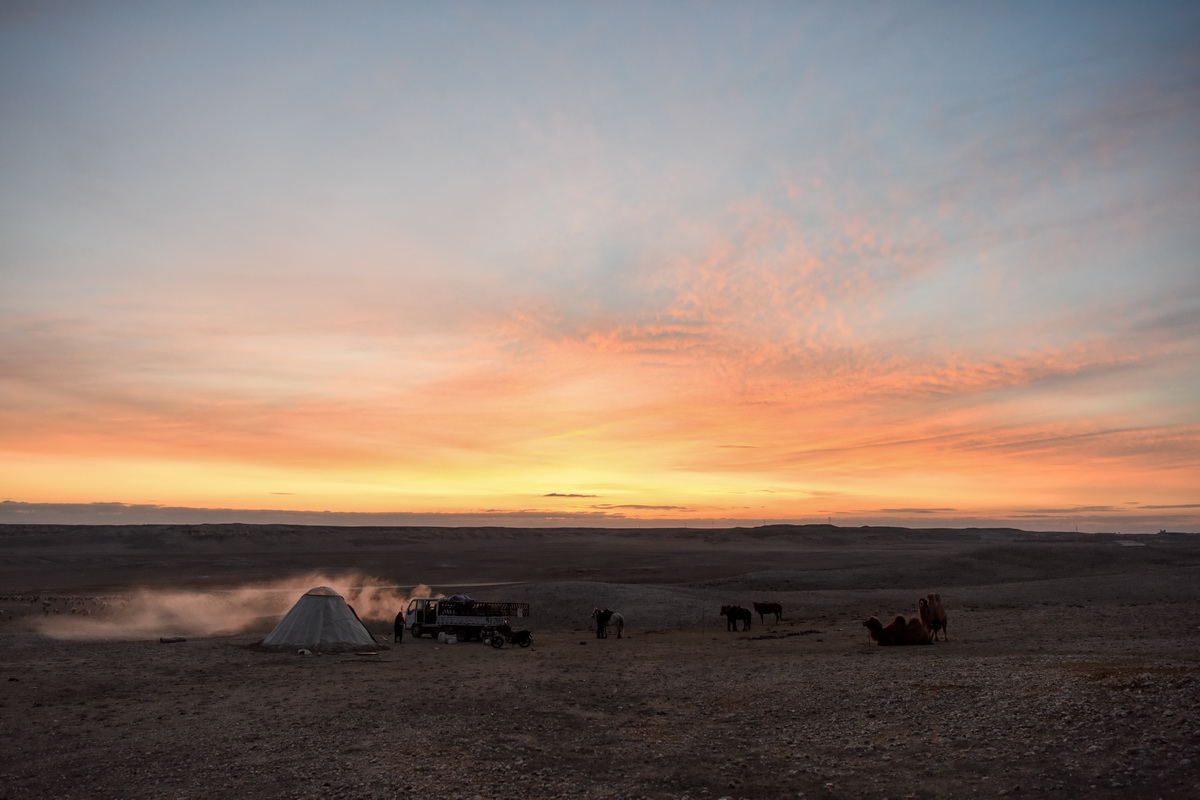 4月15日，在新疆阿勒泰地區福海縣，牧民清晨開始收拾物品准備轉場。
