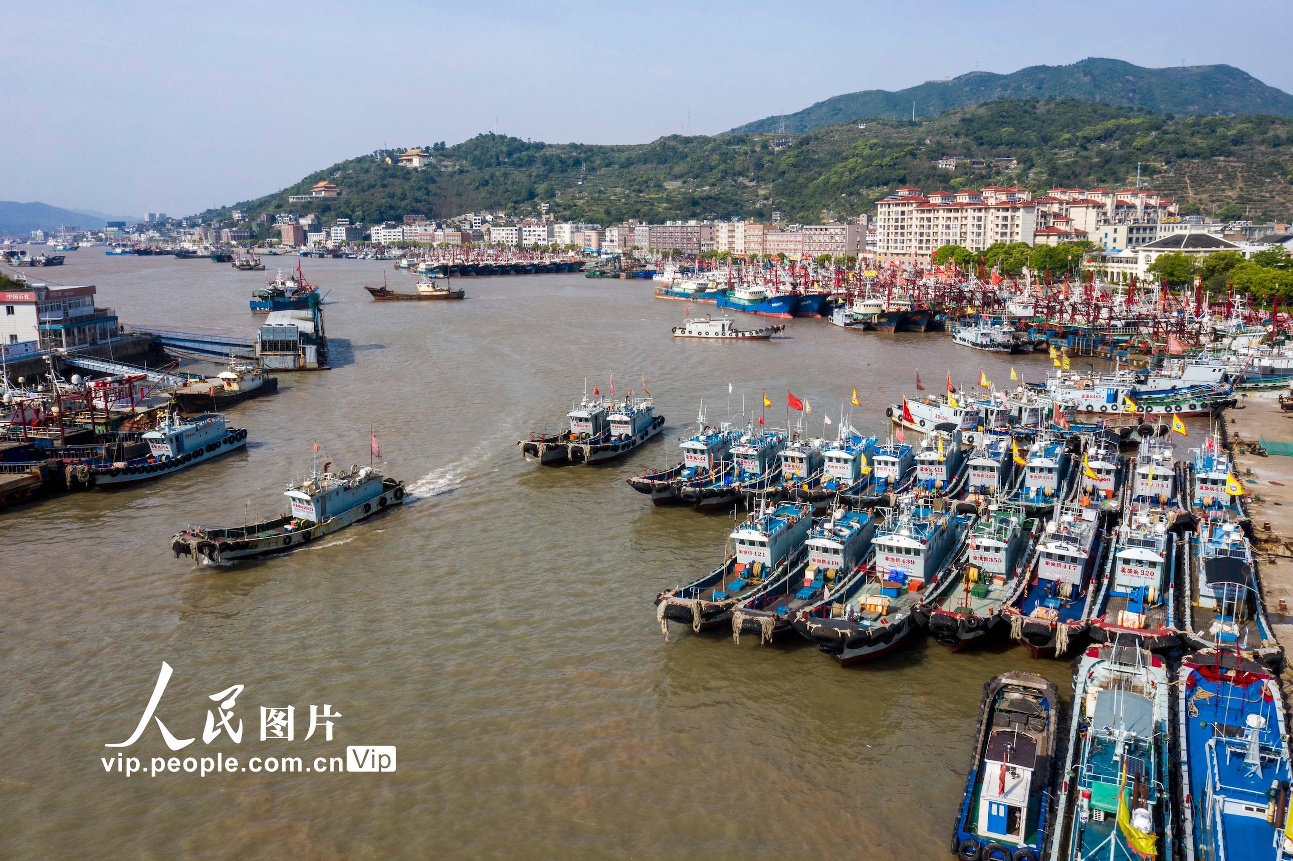 浙江省温州市洞头区140余艘张网作业渔船喜迎开捕