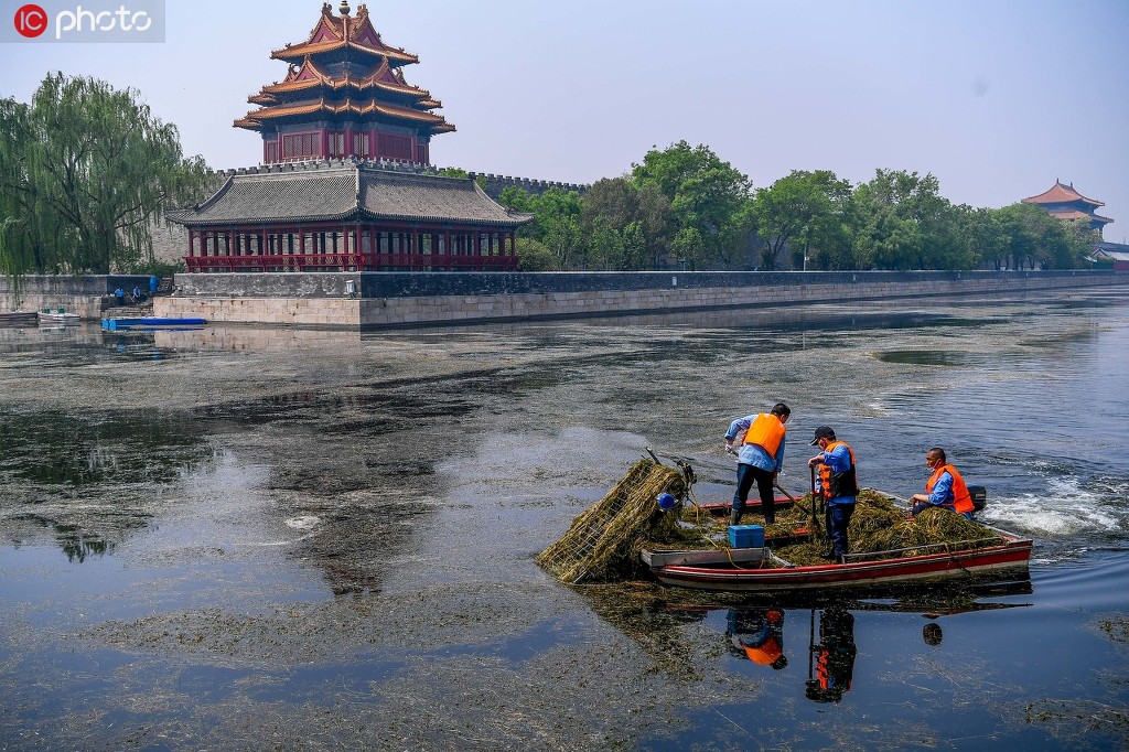 2020年5月1日，北京故宫，北京垃圾分类正式实施首日，北京故宫环卫工人正在清理水草。蔡付亮/IC photo