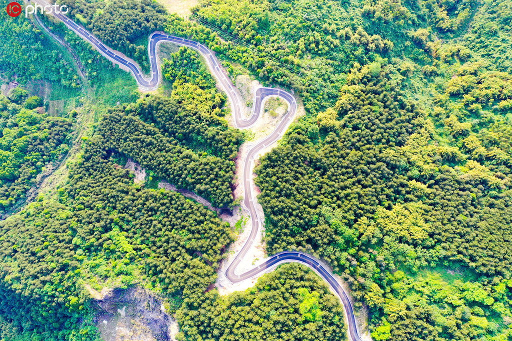 2020年5月4日，在四川省廣安華蓥市華龍辦事處柏木山, 蜿蜒的山村公路恰似一條巨龍騰飛在綠郁蔥蔥的油樟林中。